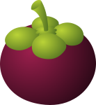 Food Mangosteen